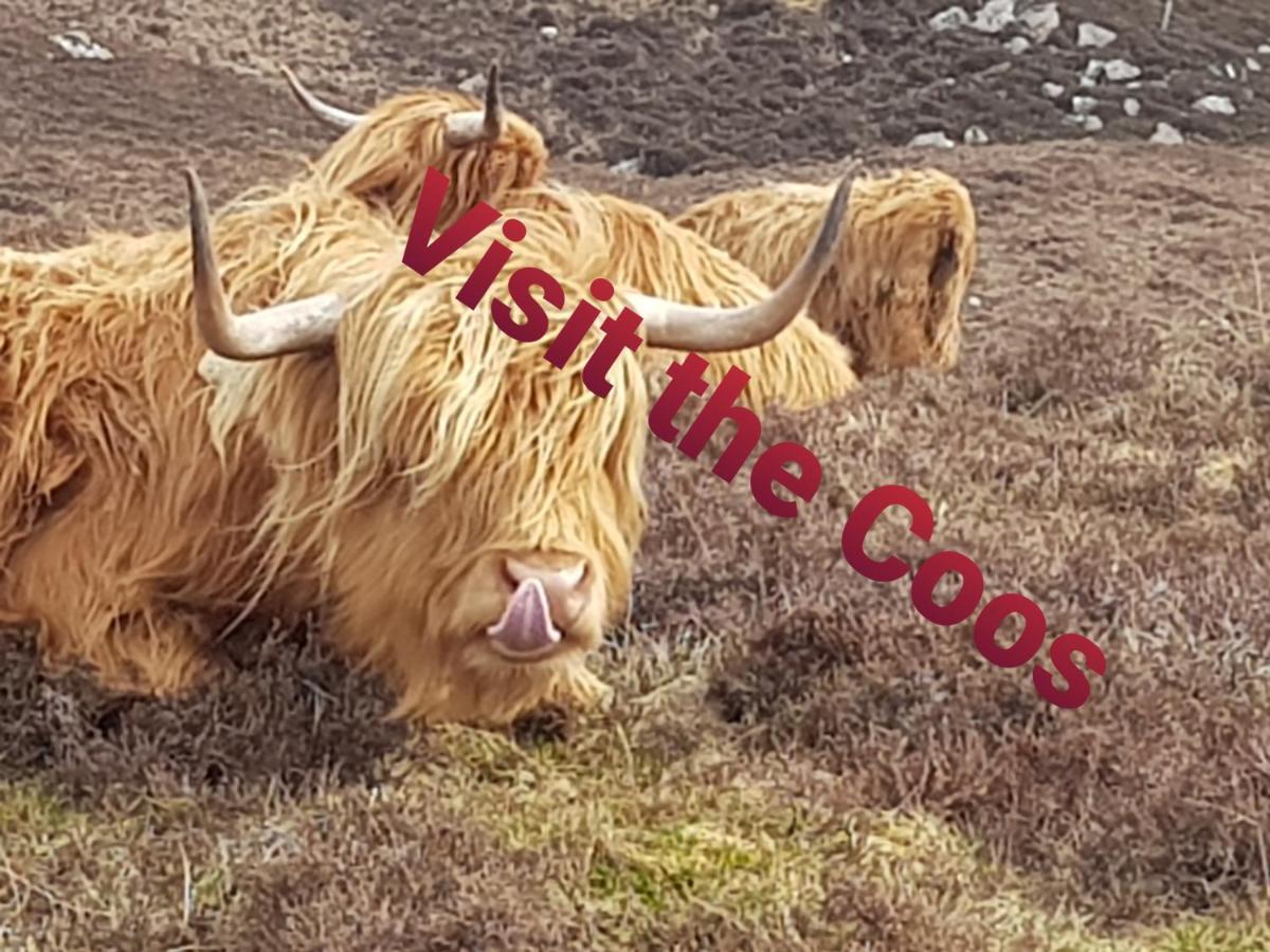 Applecross B&B Dış mekan fotoğraf