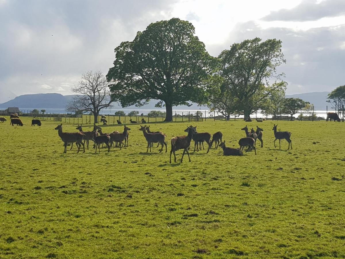 Applecross B&B Dış mekan fotoğraf